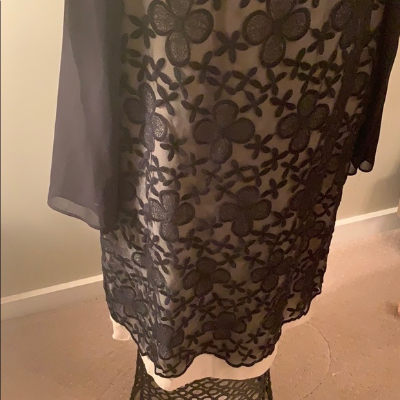 Black/cream sheer/mesh dress, beautifully detailed - Picture 2 of 5